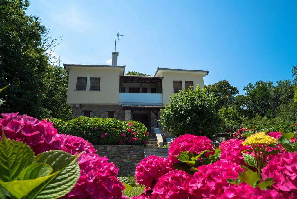 Luxury Villa With Pool In Tsagarada Exterior foto